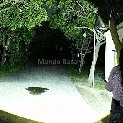 Luz potente que ilumina todo el camino